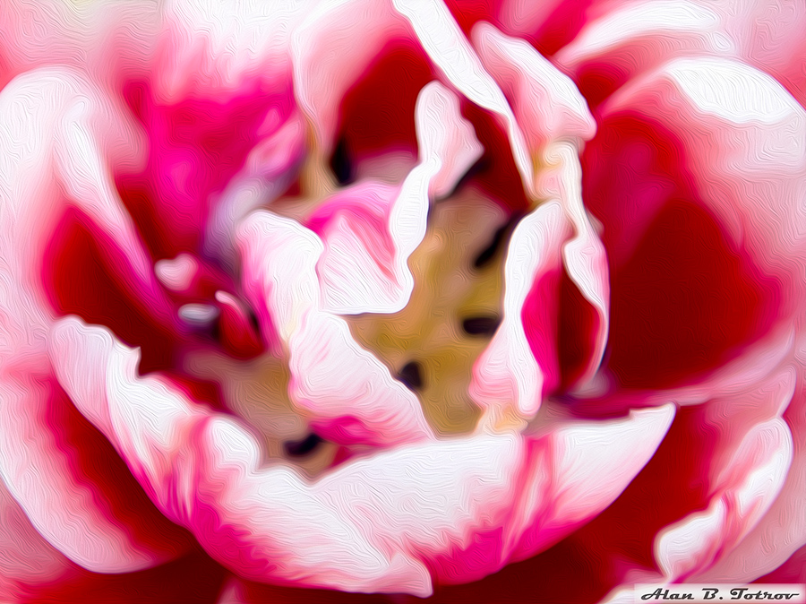 Картина маслом: розовый тюльпан